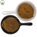 Wholesale Herbal Extract ashwagandha root powder